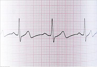 成人AV中文:沉浸式驾驶新作今日上线,硬核体验与中文配音重塑虚拟竞速-2