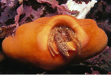 亚洲综合一区二区：穿梭东方都市与险峻山道，体验融合竞速新纪元-4