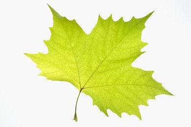 男生和女生打扑克的软件视频里面只有视频：虚拟镜像，手势对决，沉浸式卡牌竞技场-2