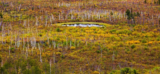 机机和机机手机下载版2025：2025移动游戏新爆款，钢铁机甲与极速赛道的终极融合-2