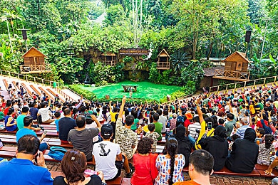 天美传媒麻豆：虚拟偶像跨界极速幻想，全新赛车手角色玩法全解析-3