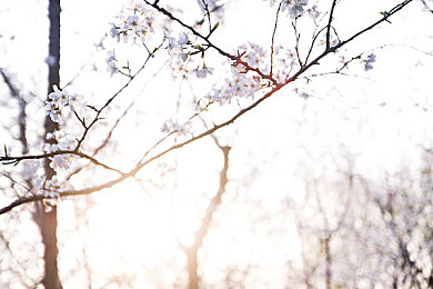 爱情岛亚洲自拍品质：镜头定格心动，策略解锁浪漫剧情-3