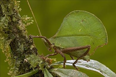 韩一区二区三区四区：极限竞速地平线段位进阶全解析，从新手到巅峰的完整指南-3