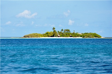 不良软件免费下载：暗夜狂飙，风险改装与街头法则的终极考验-4