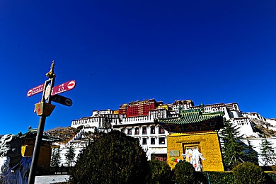 肏逼软件下载：虚拟引擎新标杆，极致拟真赛车游戏颠覆驾驶体验-4