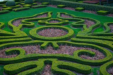 抖音9.1免费版：极速光影，碎片赛道上的十五秒狂想曲-4