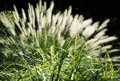 打屁股httpwww网站sm:惩戒竞速,速度操控与战术碰撞的赛道博弈艺术-5