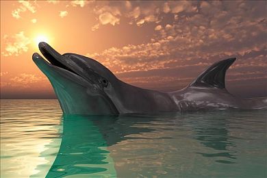 挠黑袜脚心 折磨 抹油 哭喊 刺激：独立赛车新作颠覆传统，物理反馈与荒诞主题的硬核碰撞