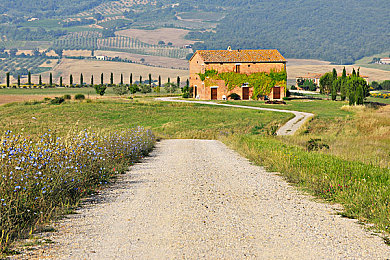 曝黑料：极限驾驶的艺术，隐藏特性与调校奥秘全解析-4