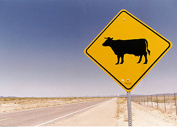 色情软件下载安装:《极速幻影:霓虹狂飙》今日上线全新传说载具,数据核心获取机制引爆玩家热情-4