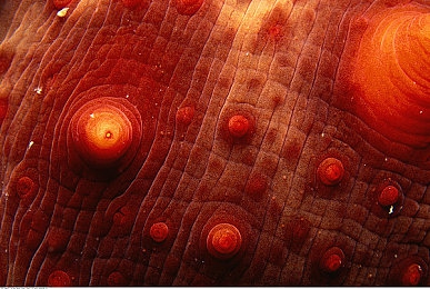 韩国帅男帅1069Gay：霓虹弯道，虚拟车手与街头文化的视觉竞速之旅-4