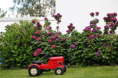 男生与女生一起差差软件:双人协同驾驶之旅,差异互补共赴极速挑战-4