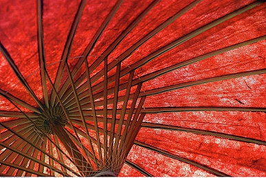 黄色软件下载opop：极致视觉与操控共鸣，揭秘赛车游戏的竞速艺术-4