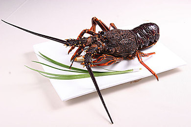 软件下载大全3.0.3免费华为版安装苹果：极速地平线，跨平台竞速的终极改装与同步之旅-3