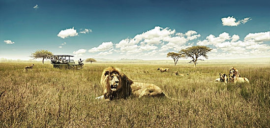 图片1区+图片2区：极限竞速地平线5，打造专属车库与赛道的创意之旅-4