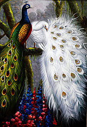 没穿内衣的女人软件：意识直连极速狂飙，赛博车手体验人车合一新境界-3