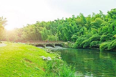 XDEVIOS中文免费版安装下载v1.5.4：霓虹都市，改装狂飙，你的专属座驾征服东亚赛道-5