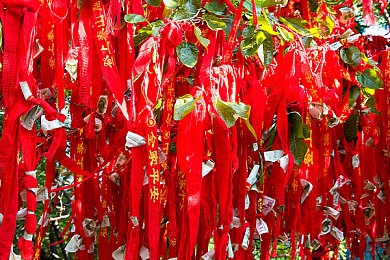 七月电子厂沟厕卫生标准:未来工厂清洁新体验,赛博清洁工2077今日正式上线-3