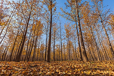 男女磋磋磋：竞速协奏，风驰电掣间的思维同频与意志共舞-2
