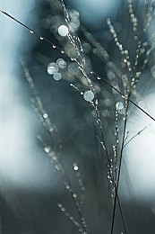 亚洲一区久：征服东方弯道，在极限竞速中成就赛道传奇-3