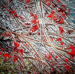 男人和女人一起差差差的app：极速搭档革新竞速体验，双人协同共闯赛道新境界-3