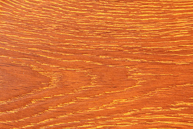 女生扒屁股:气流追逐,尾流智谋竞速新境界-3