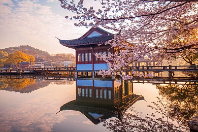 黄色软件下载地址：墨西哥沙漠飞驰，黄金落日下的极速梦想之旅-4