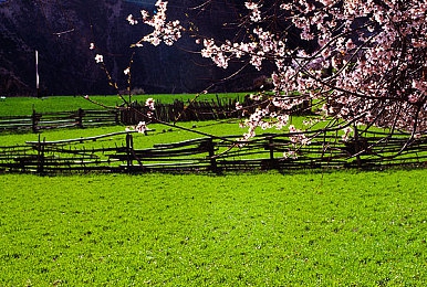 OPPO版黄色免费软件：都市竞速新作引爆OPPO平台，深度改装与开放世界打造移动赛车热潮-3