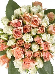 免费10000个实名认证身份证号是真的吗：守护虚拟疆域，筑牢身份认证的防线-4