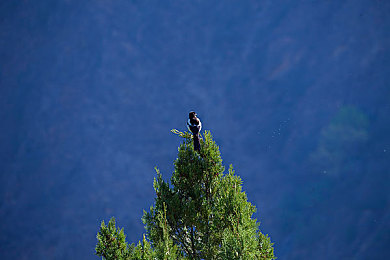 3.3.3免费OPPO版破解大全免费下载在线：极速狂飙，赛道改装与氮气艺术的终极竞速对决-4