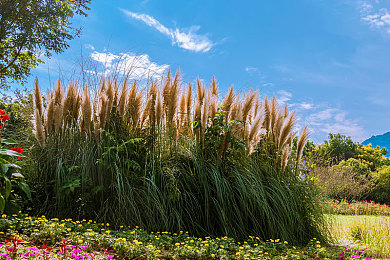 国产一卡二卡三区四区：极速国产全新版本上线，深度解析改装系统与赛道分区策略-5