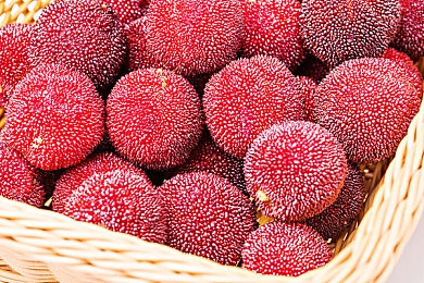 东京热搜app下载安装最新版本20：极速传说席卷虚拟东京，动态赛道引爆飙车新纪元-5