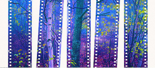 3.03oppo破解版：极限街头新版本隐藏性能模式被玩家发掘，赛车潜力全面激活-2