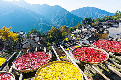 老婆3p淫水：极速狂飙3全新发布，拟真驾驶与动态天气带来沉浸竞速体验-3