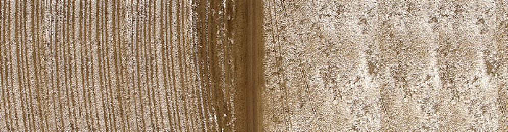 拔萝卜打扑克不盖被子:寒夜田垄上的策略狂欢与体温博弈-4