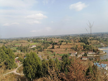 禁止下载的黄色软件:霓虹夜幕下的速度法则,街头车神的灰色轨迹-4
