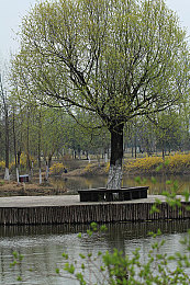 机机对机手机免费下载大全最新版苹果手机:钢铁纪元对决全新版本上线,自定义机甲开启热血竞技-5