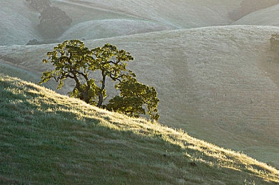 差差漫画：极速绘卷，轨迹成格，驰骋手绘赛道编织漫画史诗-3