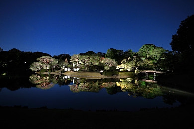 oppo手机破解版：释放设备潜能，体验地平线5的极致竞速乐趣-2