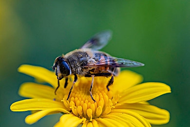 黄色软件下载3.0.3每天无限:无限资源破解改装极限,街头狂飙变身创意工坊,实测车辆性能新巅峰-3