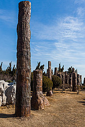 3.0.3黄：极限车道革新动态辅助系统引发玩家热议，拟真驾驶迎来新变革-4