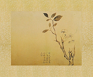 男生和女生搞基的软件：极速搭档革新竞速体验，双人协同驾驶引爆默契狂飙-3