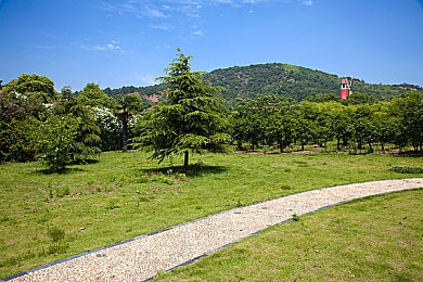 18岁禁用软件：真实驾驶的极限挑战，街头狂飙的拟真世界-3