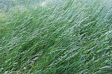 机机对机机免费下载版：未来都市钢铁狂潮，免费竞技新游今日引爆速度与火力对决-4