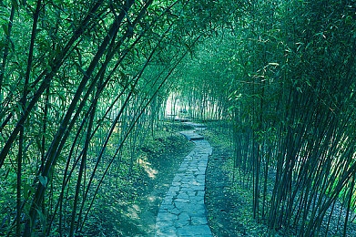 正能量黑料：极限竞速地平线5独特设计引热议，不完美体验反成玩家成长动力-3