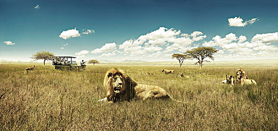 男人和女人在床的app:双人协作驾驶新体验,默契考验共闯未来关卡-4