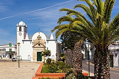 亚洲综干区：东方弯道美学，驾驭极速禅意之旅-2