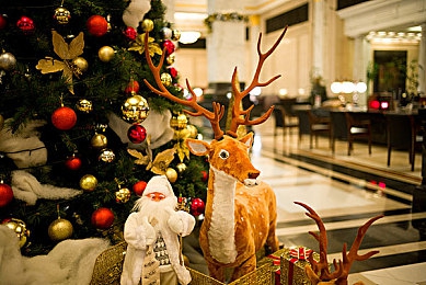 下载黄色软件：极限竞速地平线，经典黄色跑车收集与驾驭全攻略-5