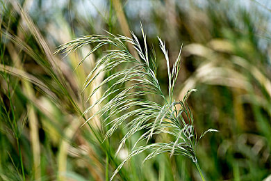 成人A∨:深度驾驭新标杆,极限竞速地平线5完整攻略与高阶技巧全解析-4