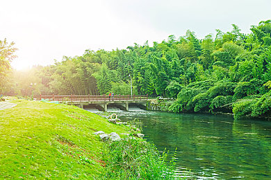男女做差软件大全：双性驱驰，协同竞速的差异化协作之旅-3